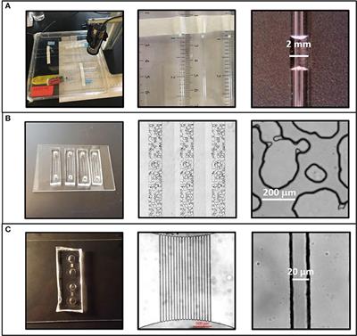 Bacterial Extracellular Polymeric Substances Amplify Water Content Variability at the Pore Scale